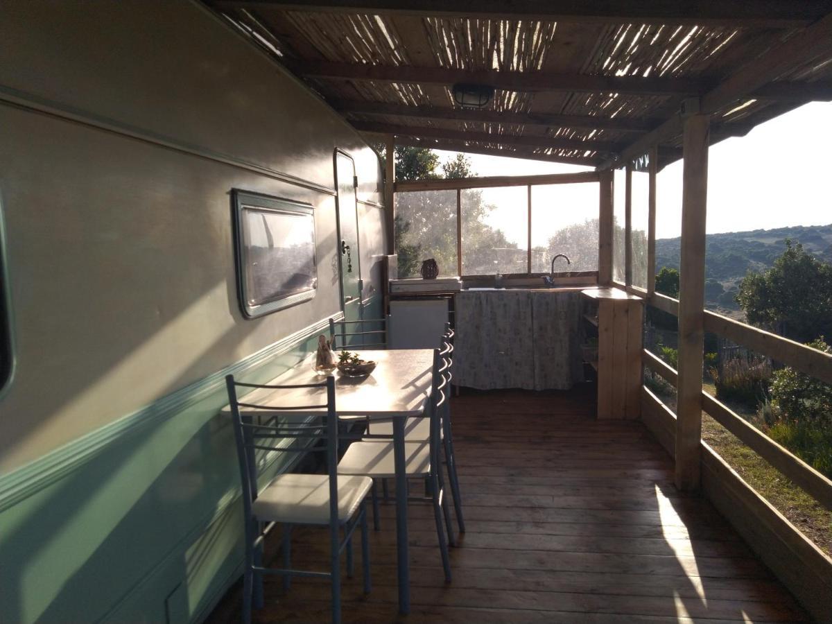 La Cera Farm Camping B&B Santa Teresa Gallura Εξωτερικό φωτογραφία