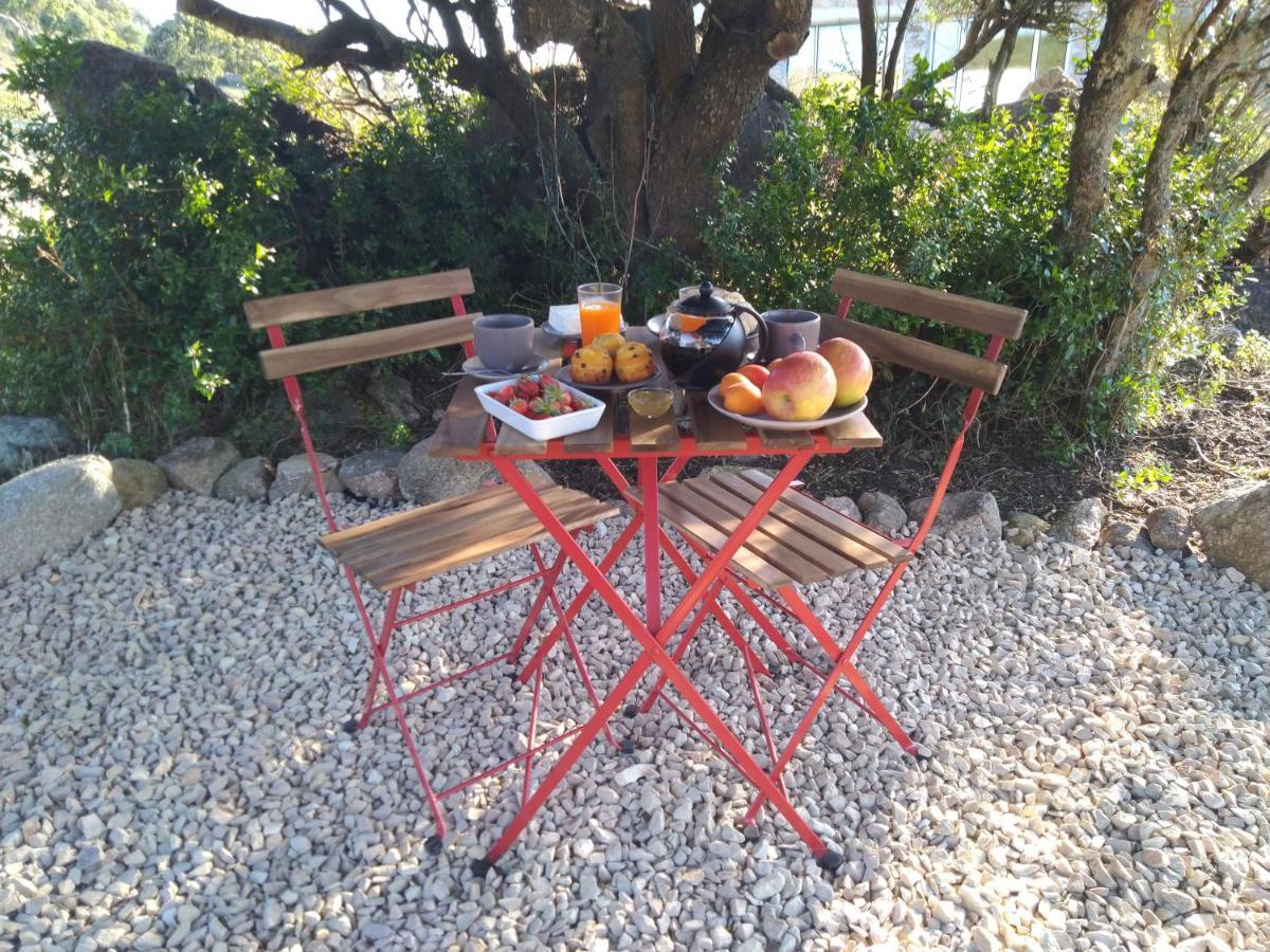 La Cera Farm Camping B&B Santa Teresa Gallura Εξωτερικό φωτογραφία