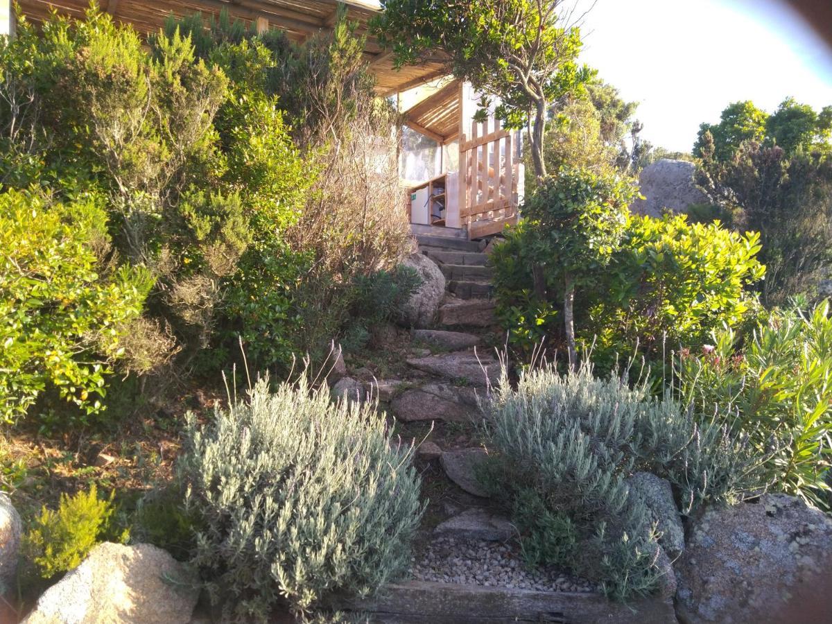 La Cera Farm Camping B&B Santa Teresa Gallura Εξωτερικό φωτογραφία