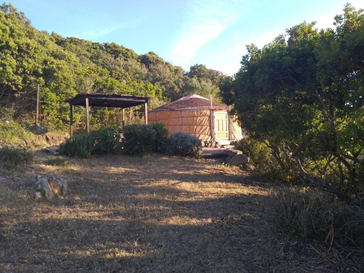 La Cera Farm Camping B&B Santa Teresa Gallura Εξωτερικό φωτογραφία