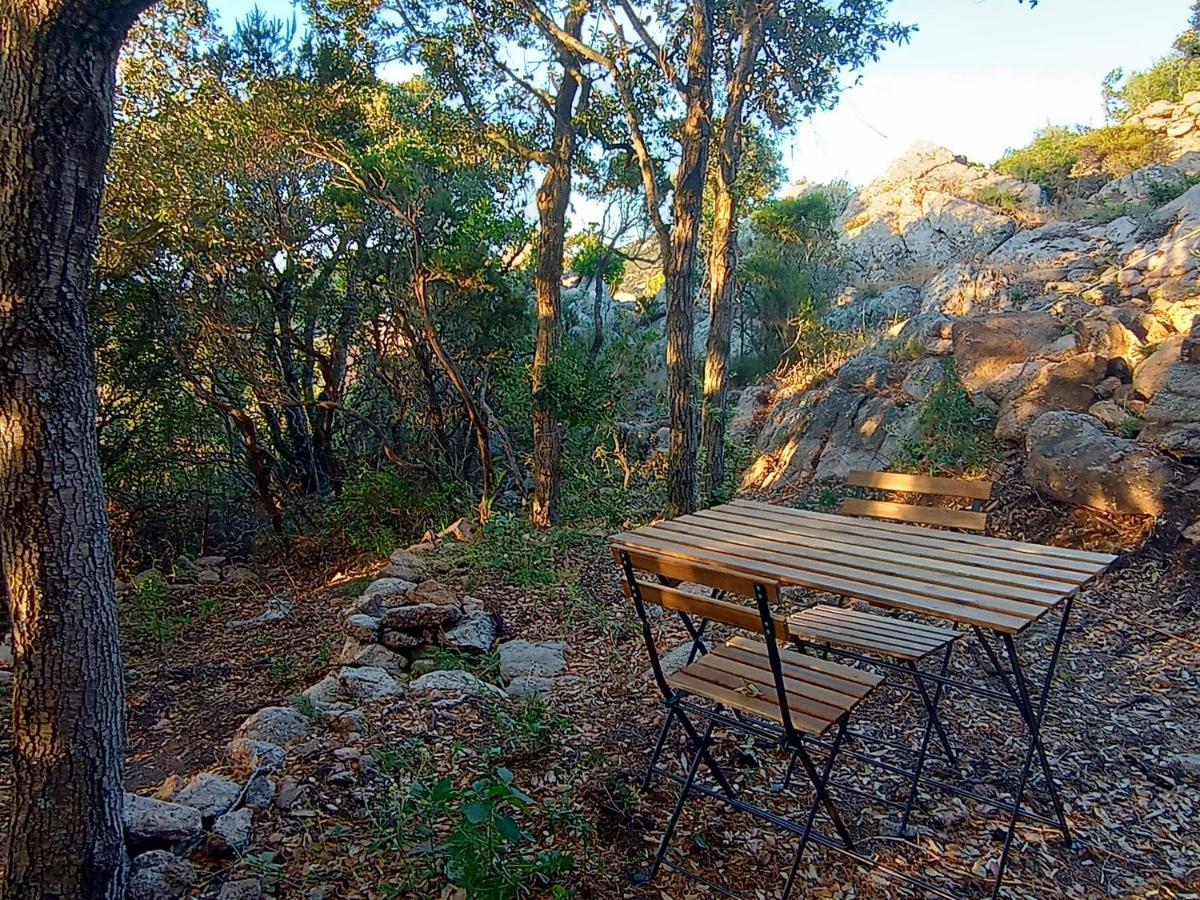 La Cera Farm Camping B&B Santa Teresa Gallura Εξωτερικό φωτογραφία