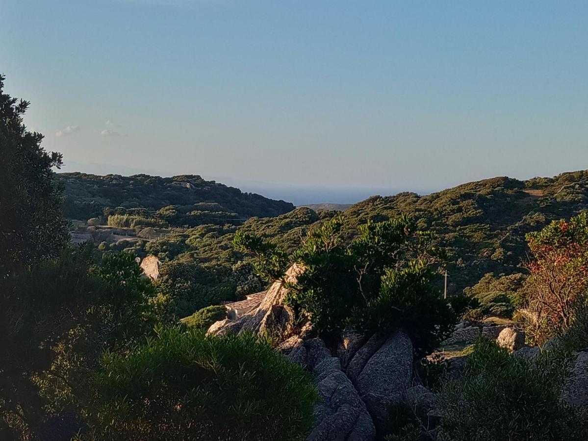 La Cera Farm Camping B&B Santa Teresa Gallura Εξωτερικό φωτογραφία