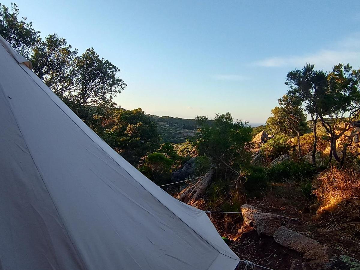 La Cera Farm Camping B&B Santa Teresa Gallura Εξωτερικό φωτογραφία