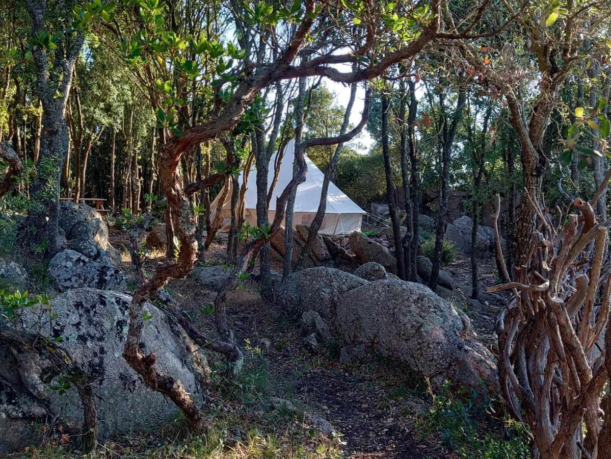 La Cera Farm Camping B&B Santa Teresa Gallura Εξωτερικό φωτογραφία