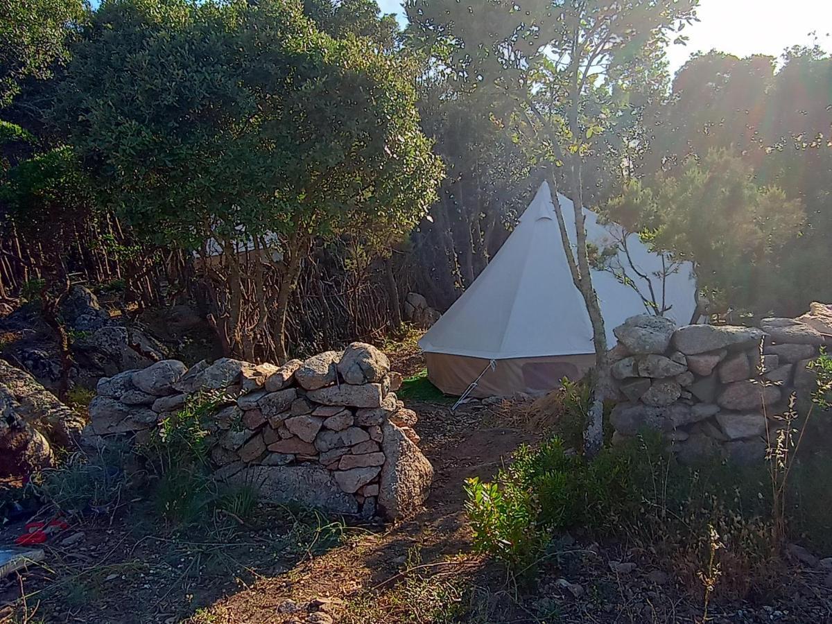 La Cera Farm Camping B&B Santa Teresa Gallura Εξωτερικό φωτογραφία