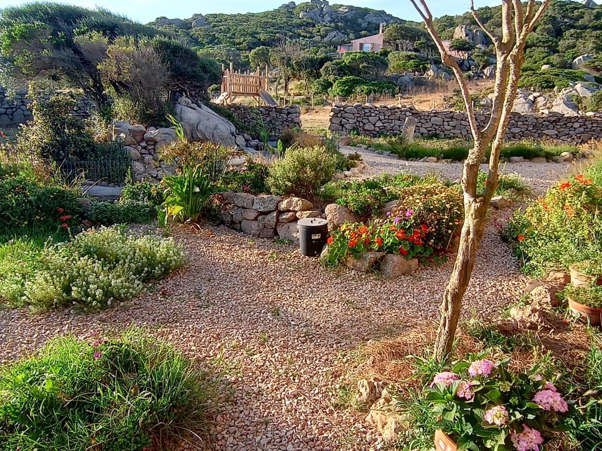 La Cera Farm Camping B&B Santa Teresa Gallura Εξωτερικό φωτογραφία