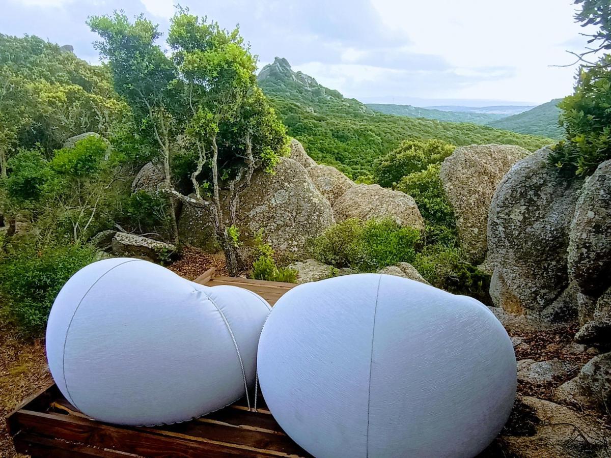 La Cera Farm Camping B&B Santa Teresa Gallura Εξωτερικό φωτογραφία