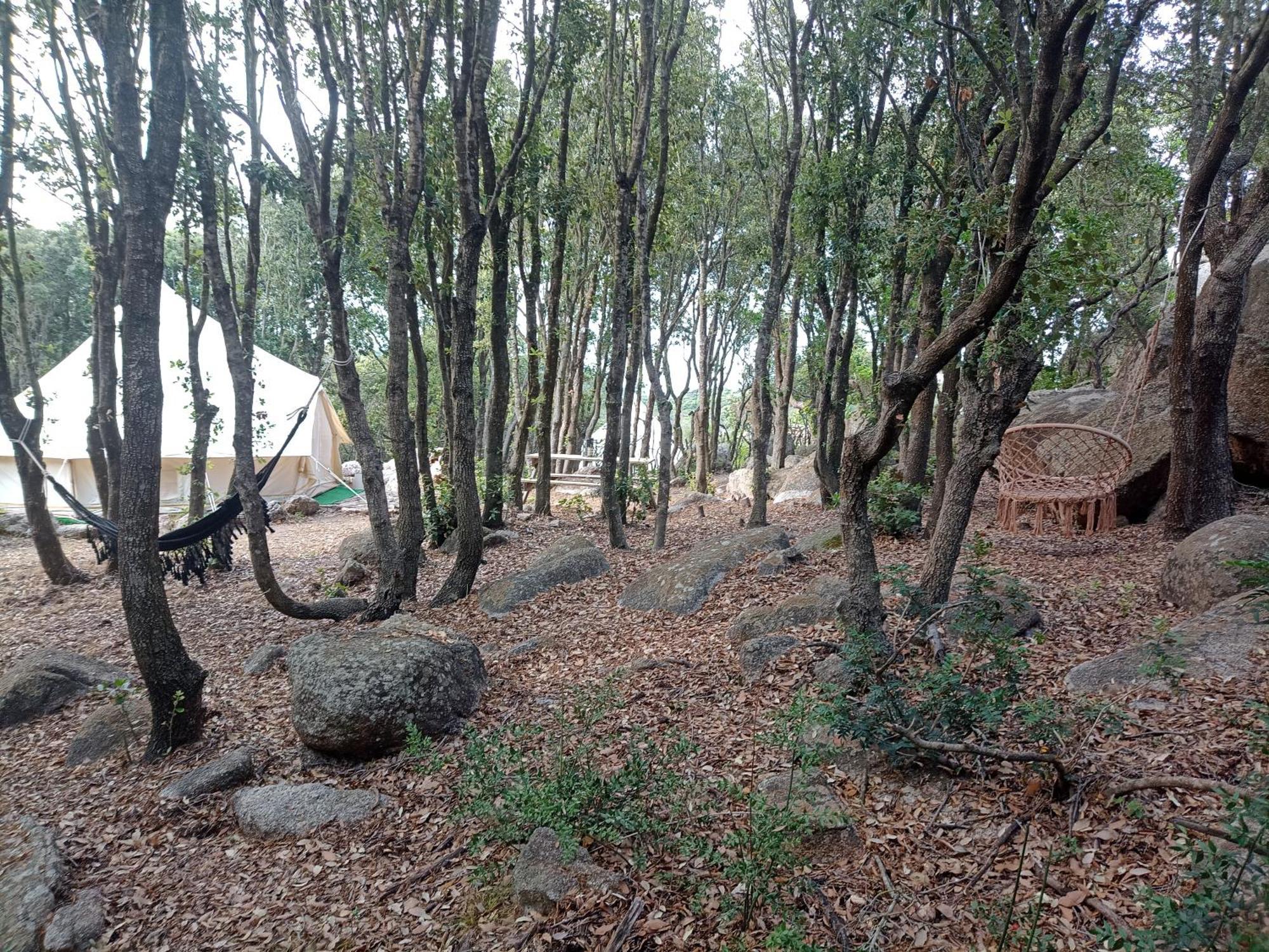 La Cera Farm Camping B&B Santa Teresa Gallura Εξωτερικό φωτογραφία
