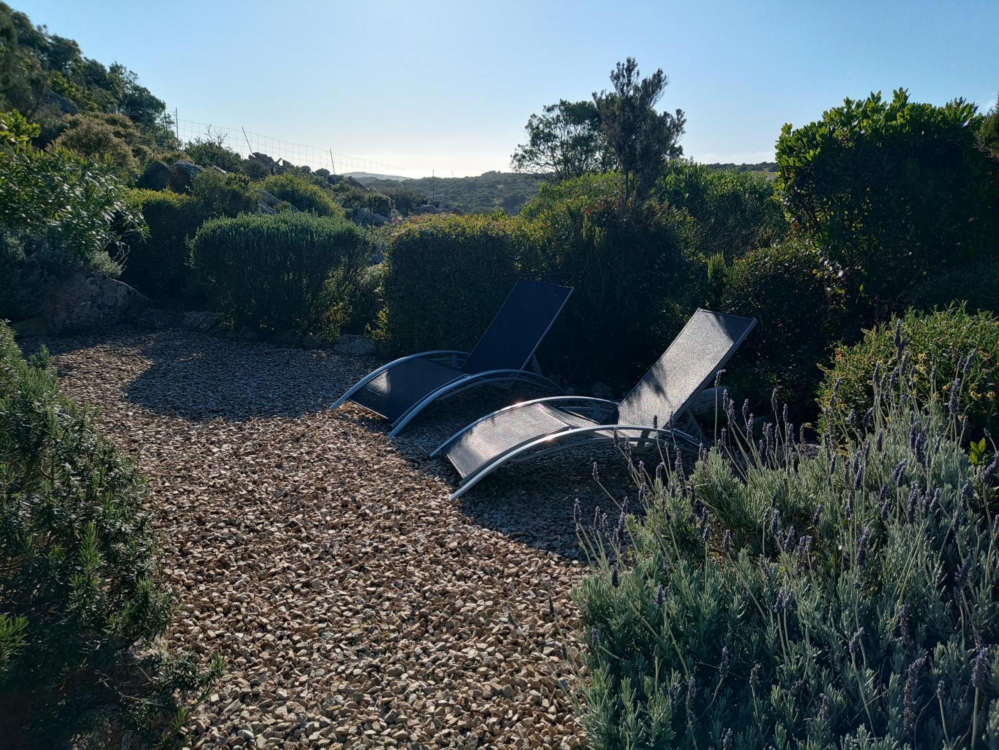 La Cera Farm Camping B&B Santa Teresa Gallura Εξωτερικό φωτογραφία