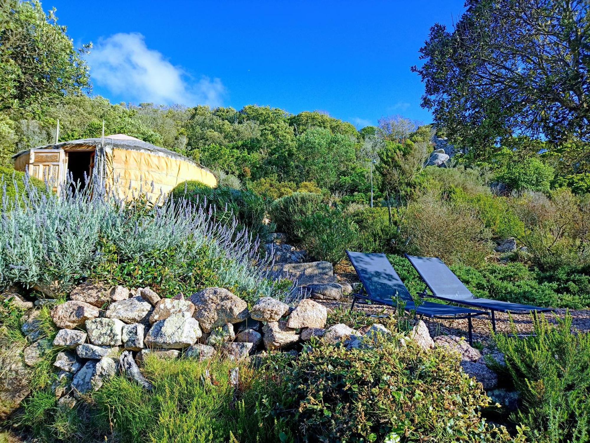 La Cera Farm Camping B&B Santa Teresa Gallura Εξωτερικό φωτογραφία