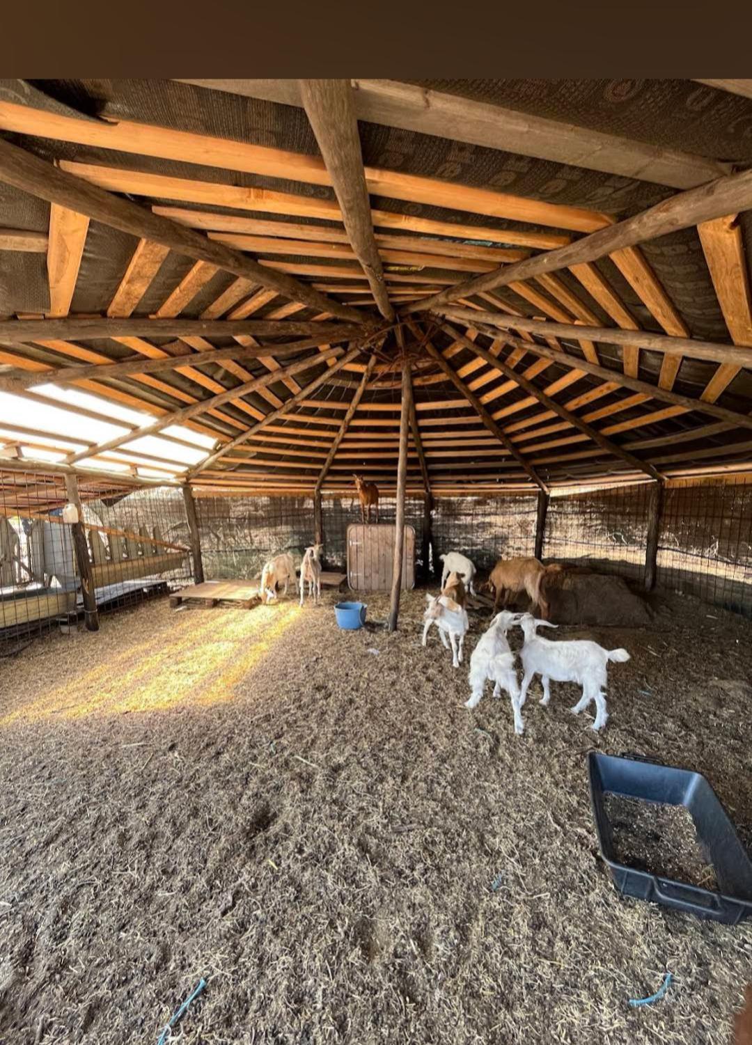 La Cera Farm Camping B&B Santa Teresa Gallura Εξωτερικό φωτογραφία