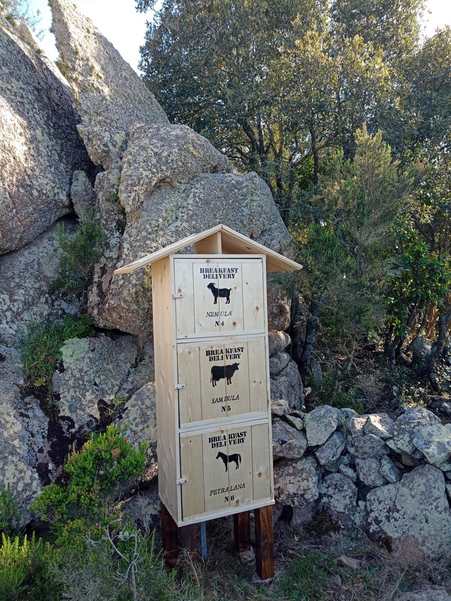 La Cera Farm Camping B&B Santa Teresa Gallura Εξωτερικό φωτογραφία